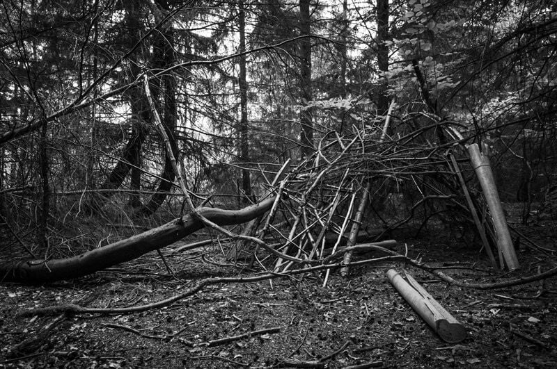 CE235 - Den (Salcey Forest, Northants) - by - Warren Shaw