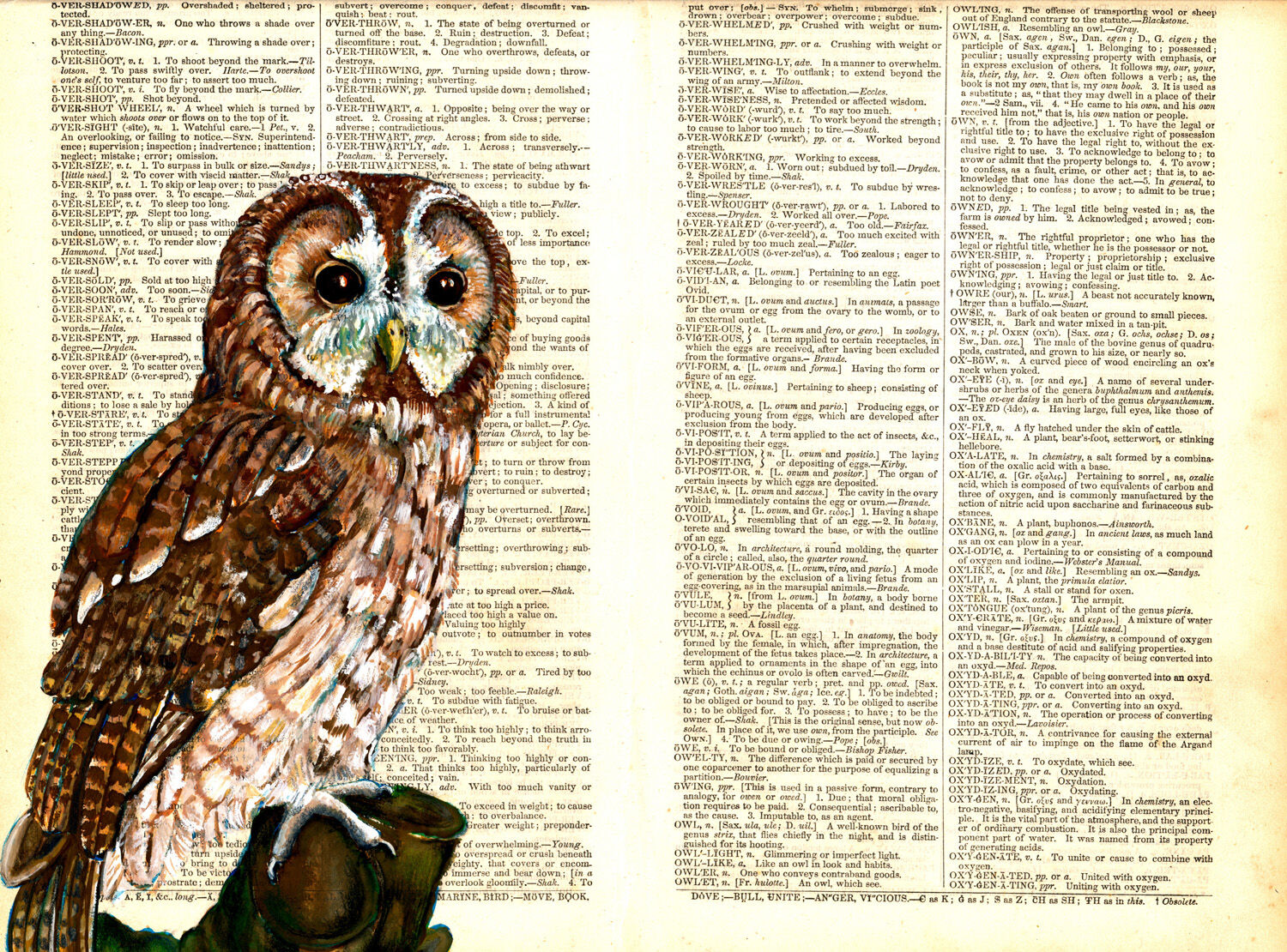 Owl on 1858 Dictionary Paper - by Katy Dynes 2022