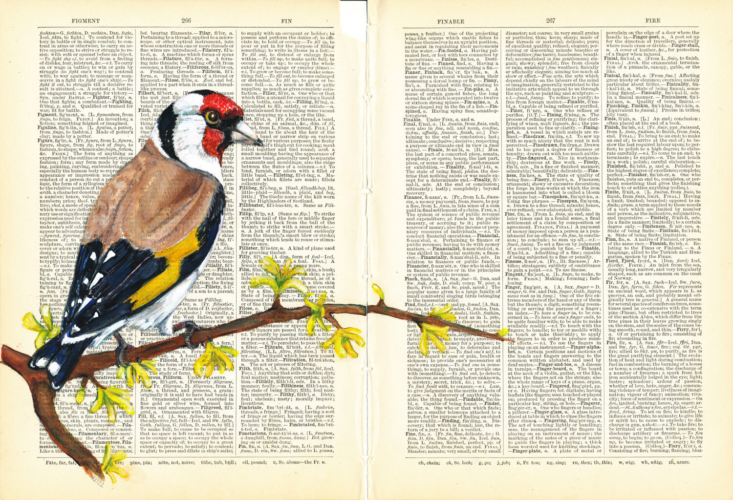Goldfinch on 1892 Dictionary Paper- by Katy Dynes