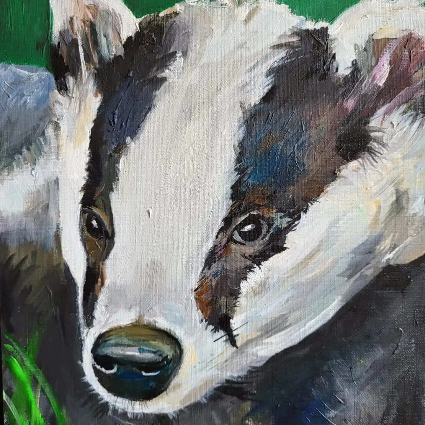 Badger