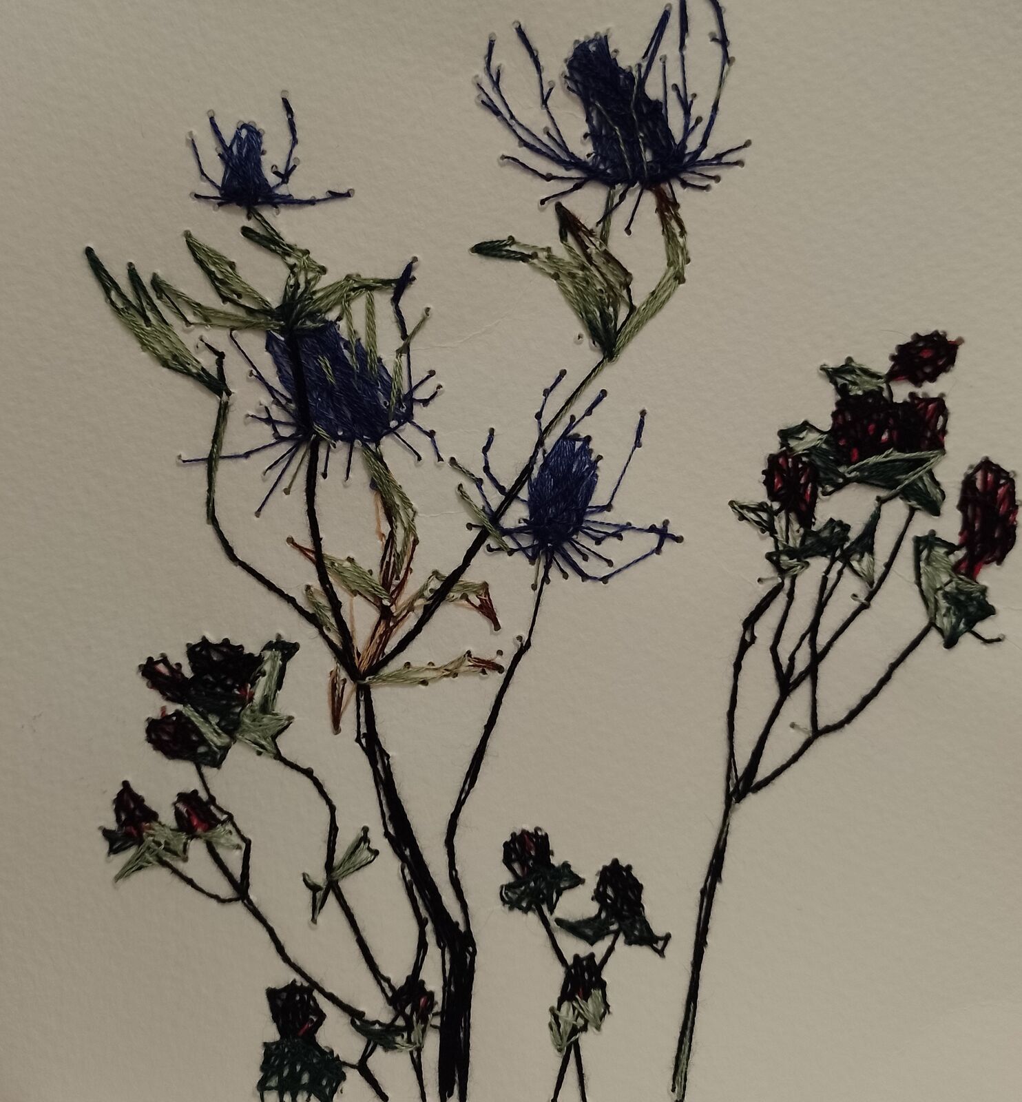 Teasels