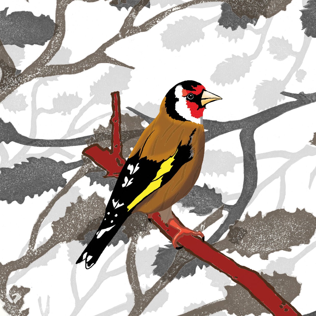 Gold Finch