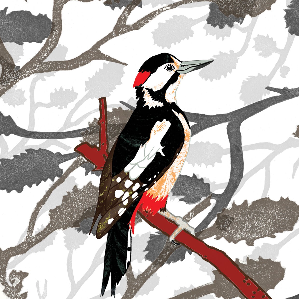 Great Spotted Woodpecker