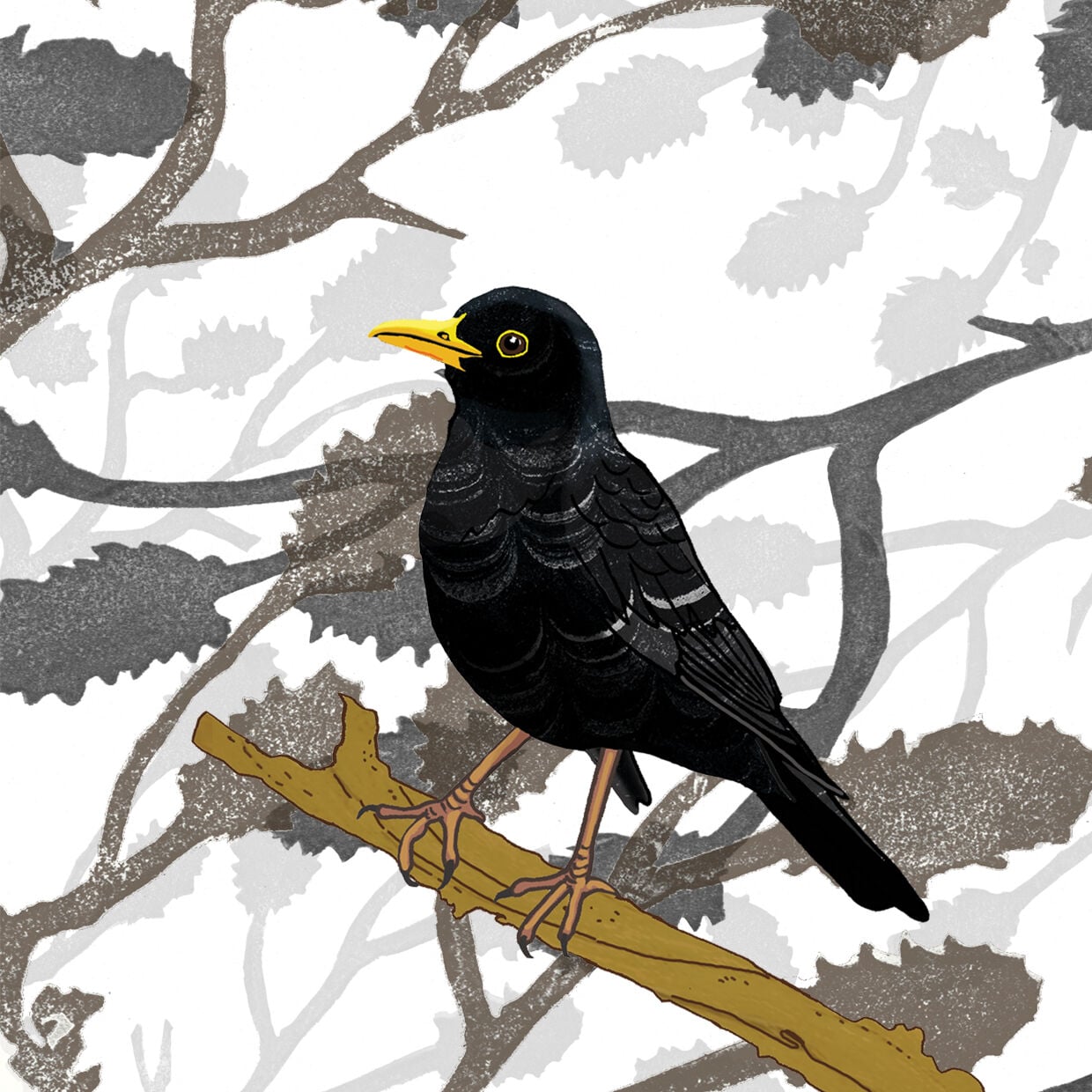 Black Bird
