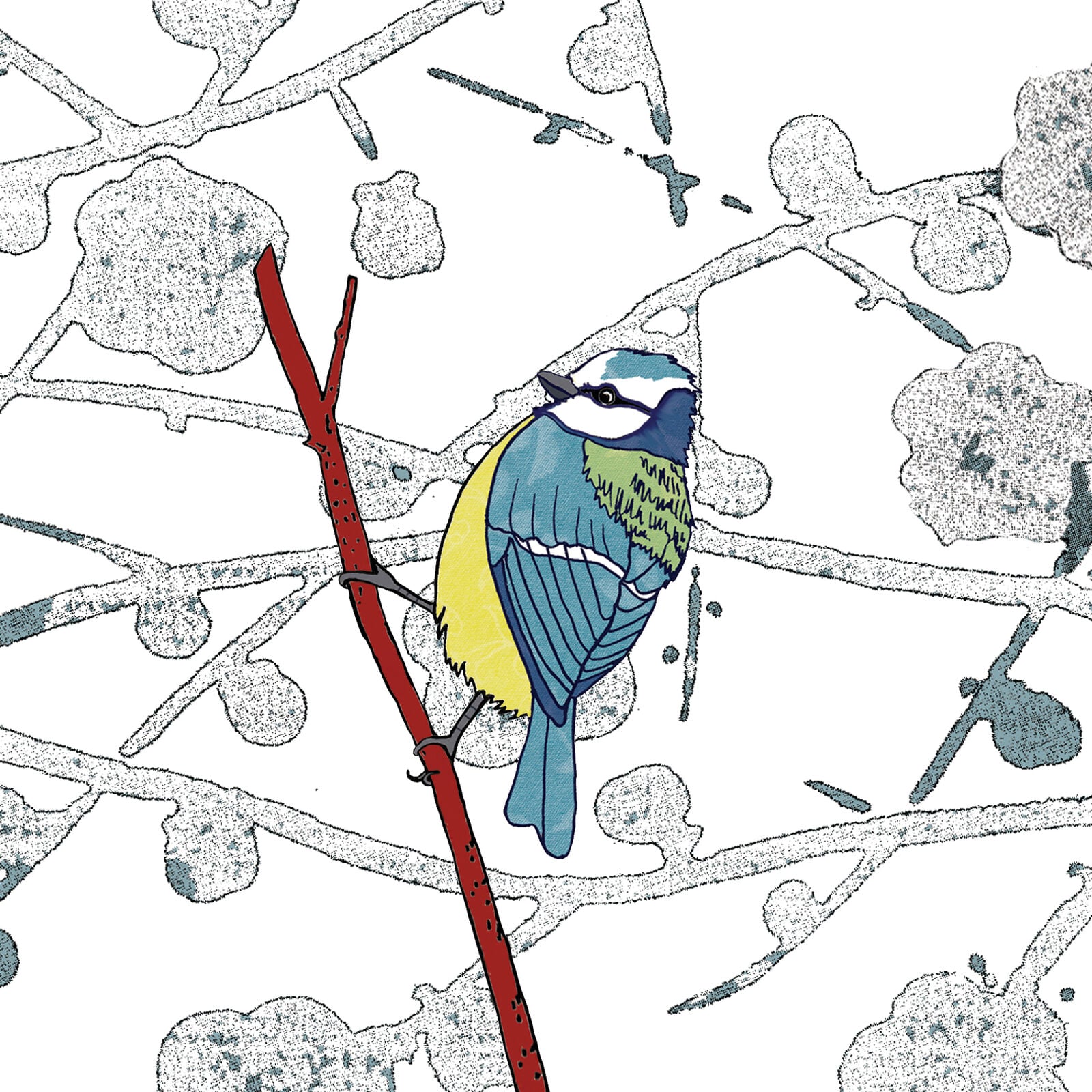 Blue tit
