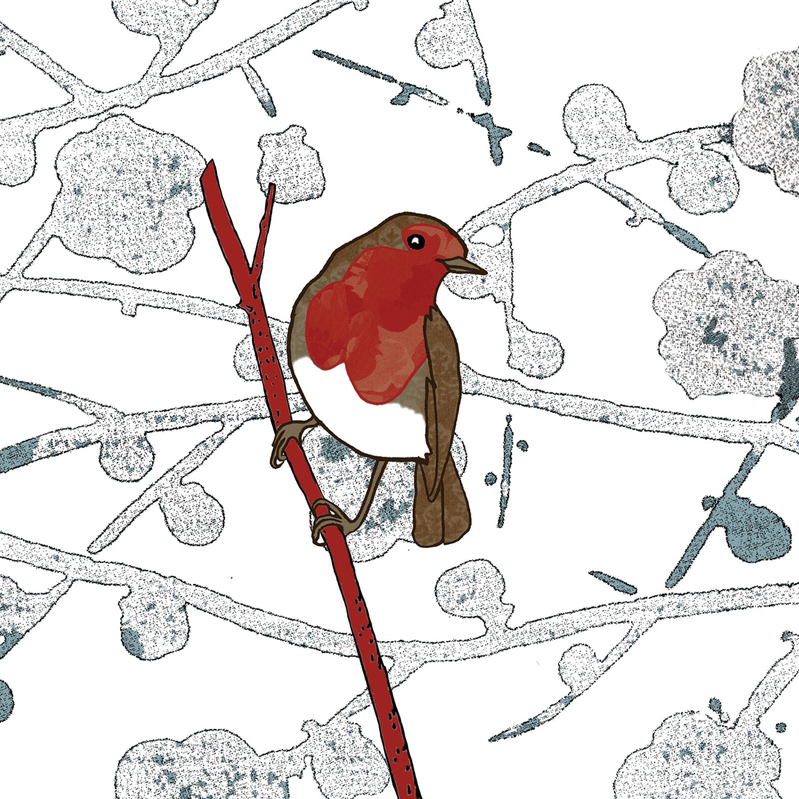 Robin