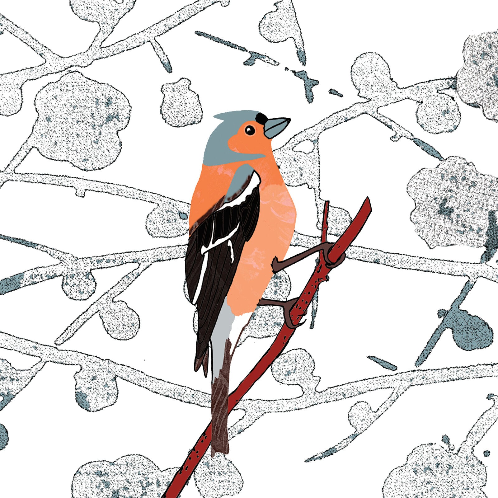 Chaffinch