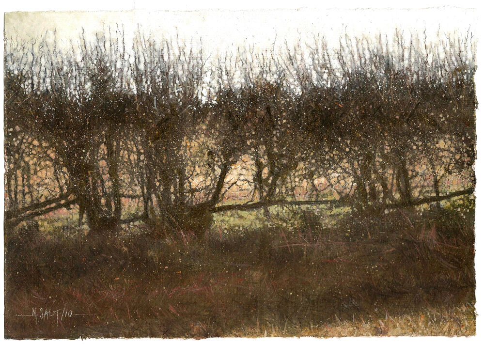 Old Hedge
