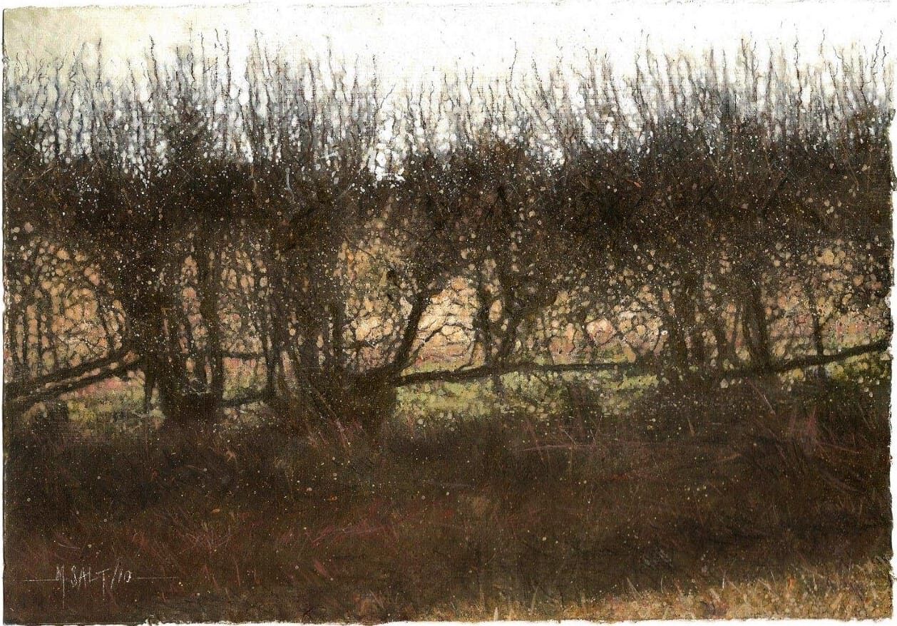 Ancient Hedgerow