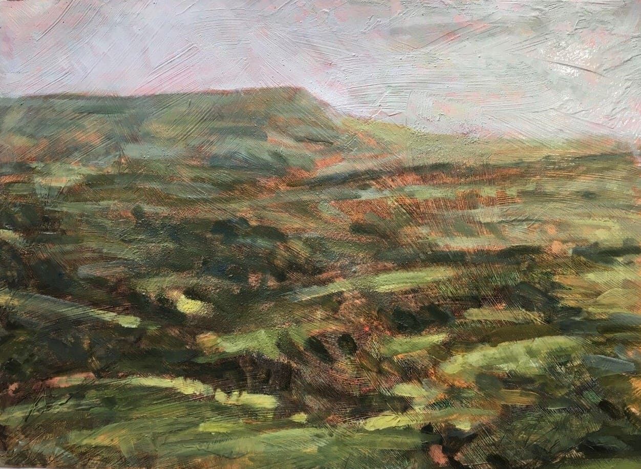 Roaches Study