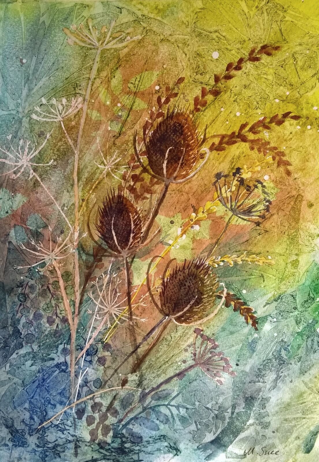 Teasels