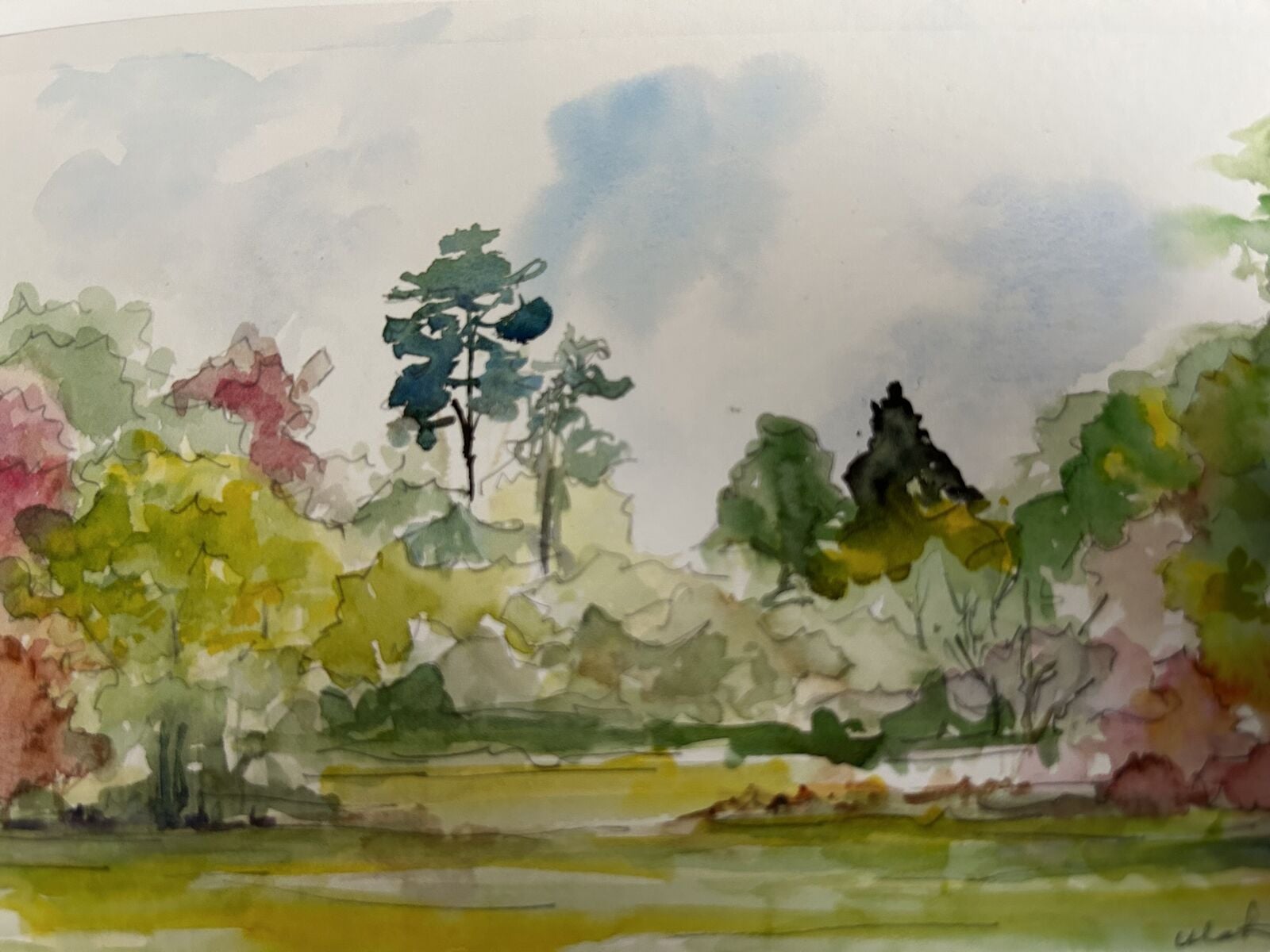 Botanical Garden Study