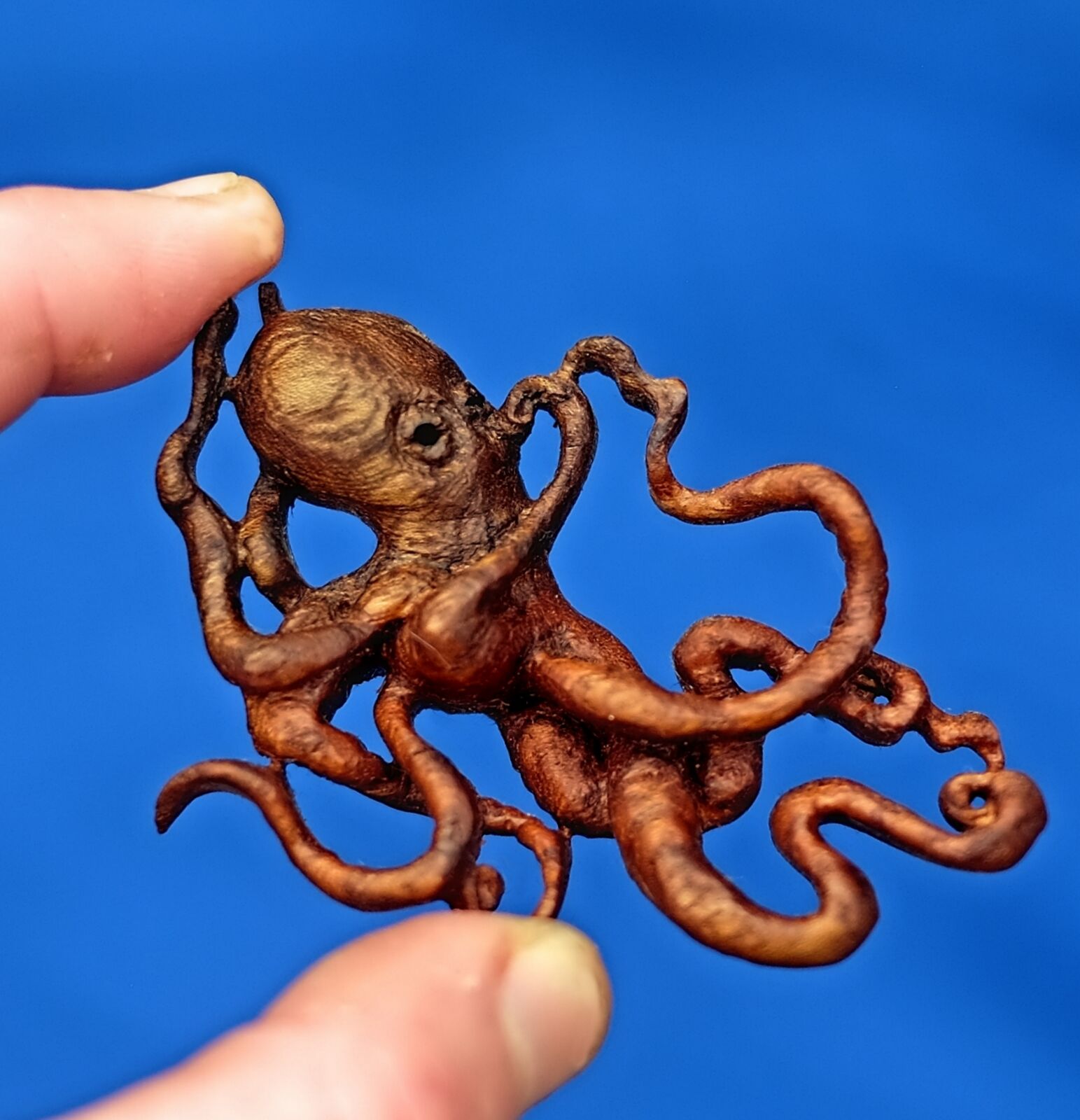 Elm Octopus brooch