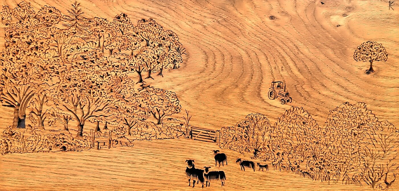 Five Sheep - silhouette