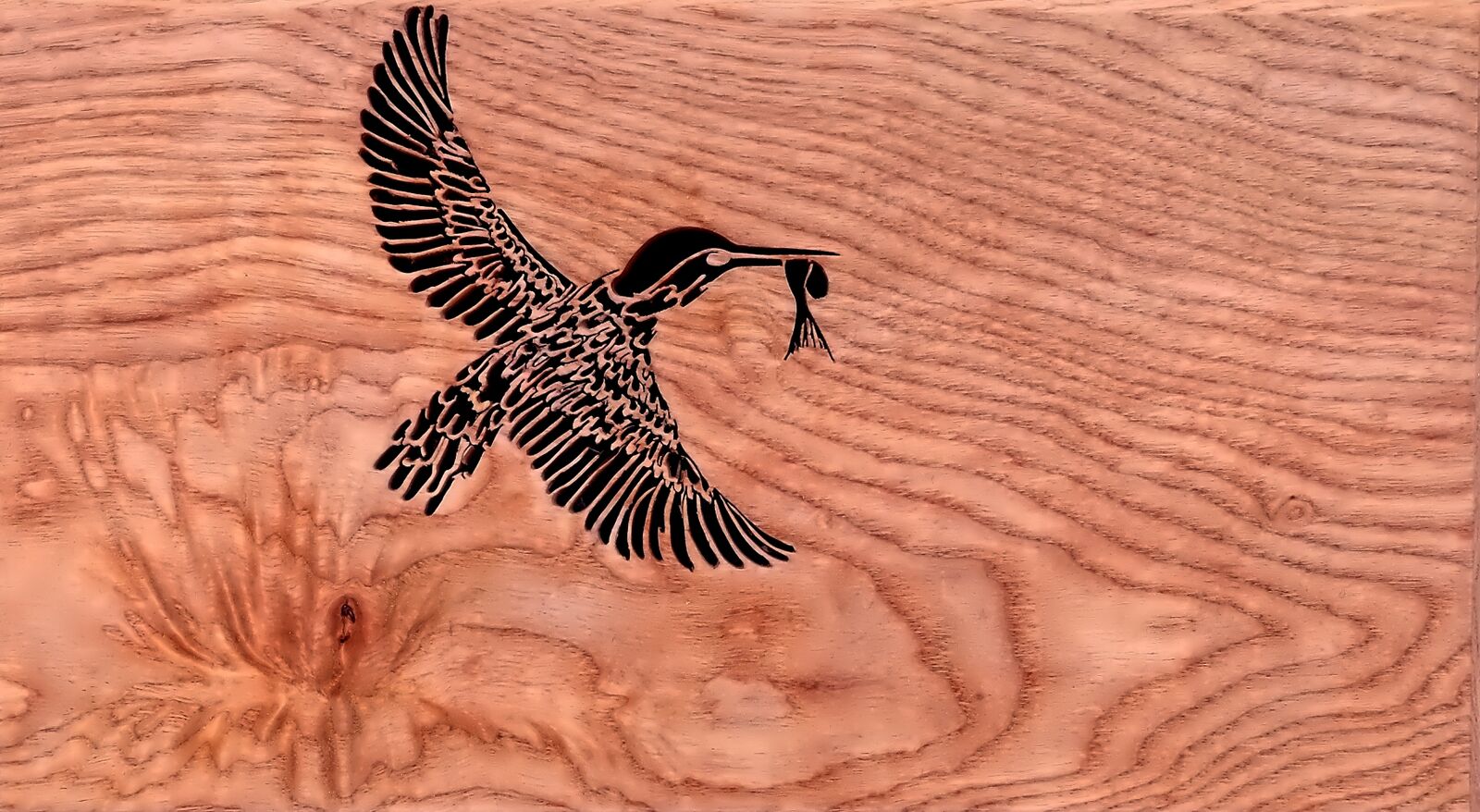 Gotcha! -Kingfisher silhouette