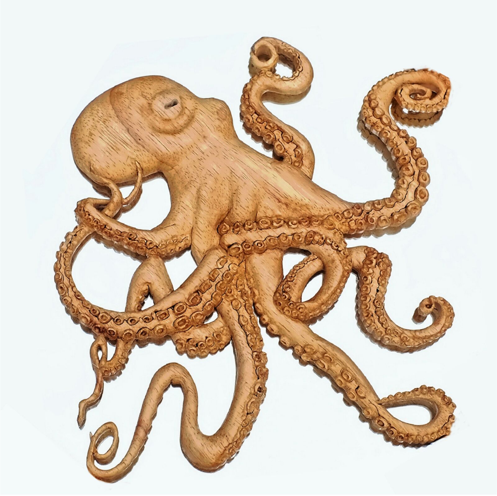 Octopus