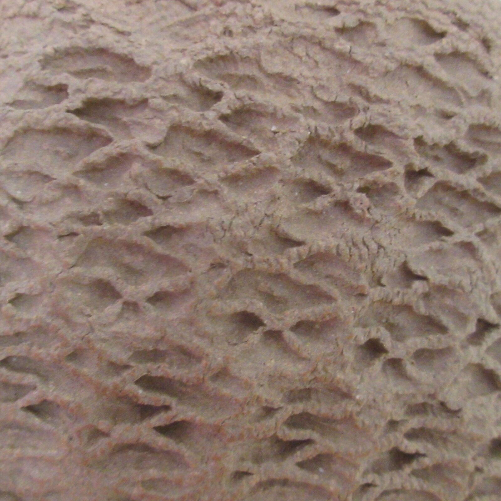 High grogged crank clay with fir cone texture