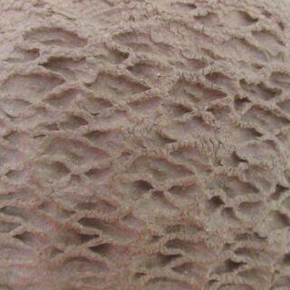 Looking At Tactile Textures