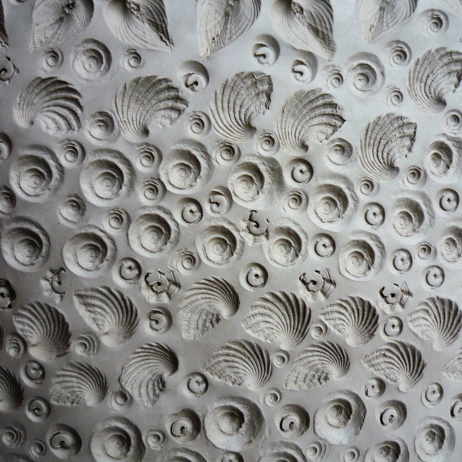White ungrogged porcelain stoneware