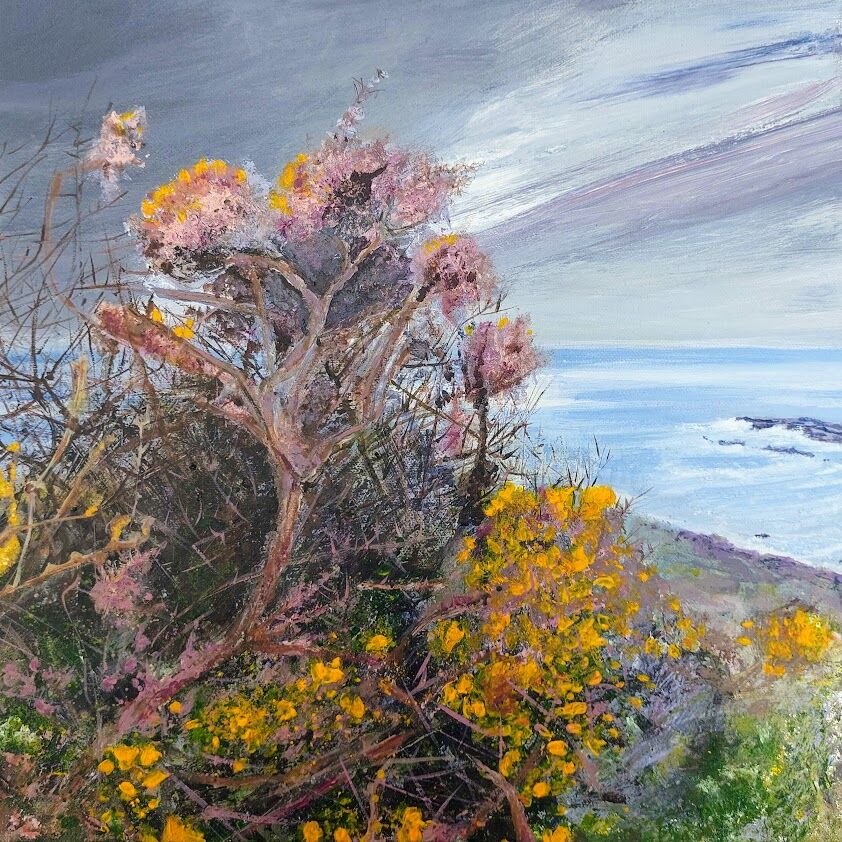 Devon Coast Gorse