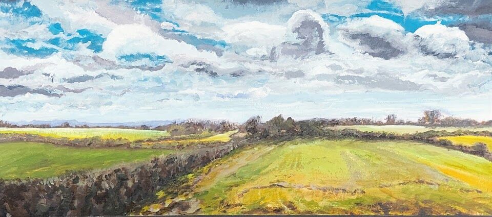 Litchborough Fields