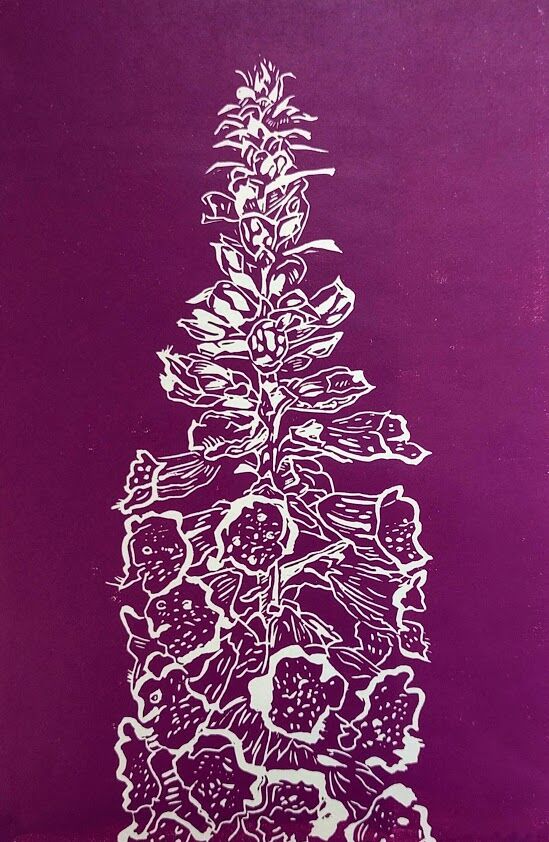 Foxglove