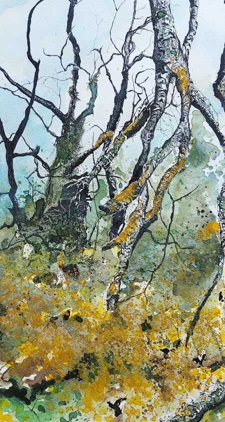 Badby Woods Gorse