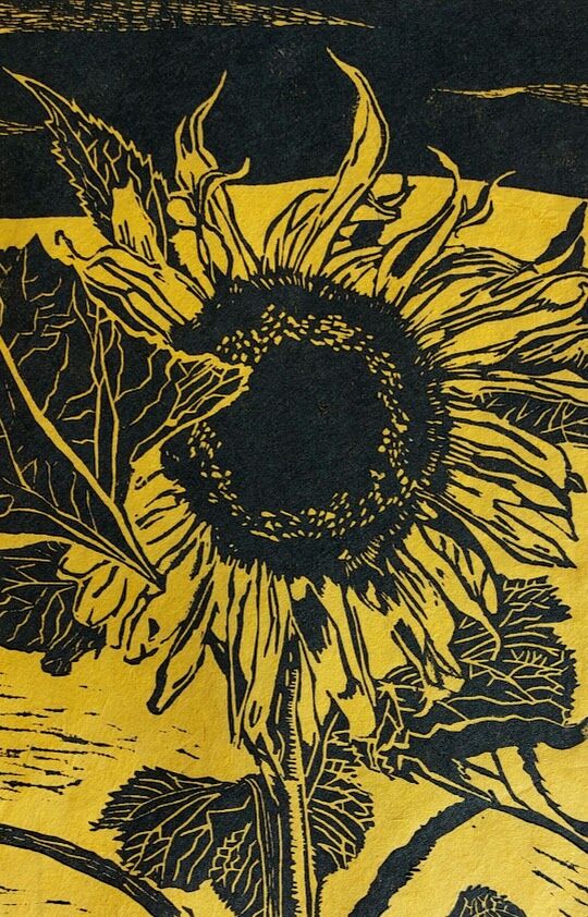 Sunflower for Ukraine