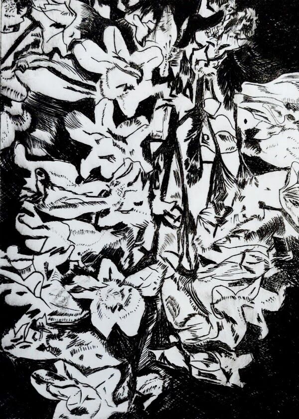 Penstemon