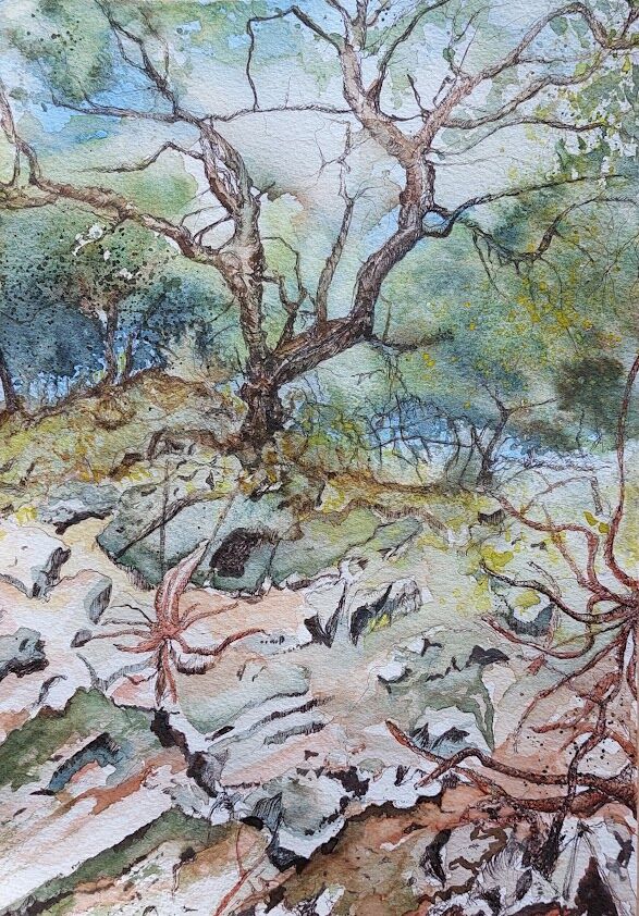 Cretan Rocks, Ancient Hedges