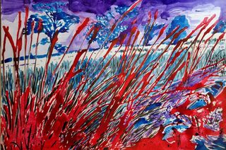 Landscapes