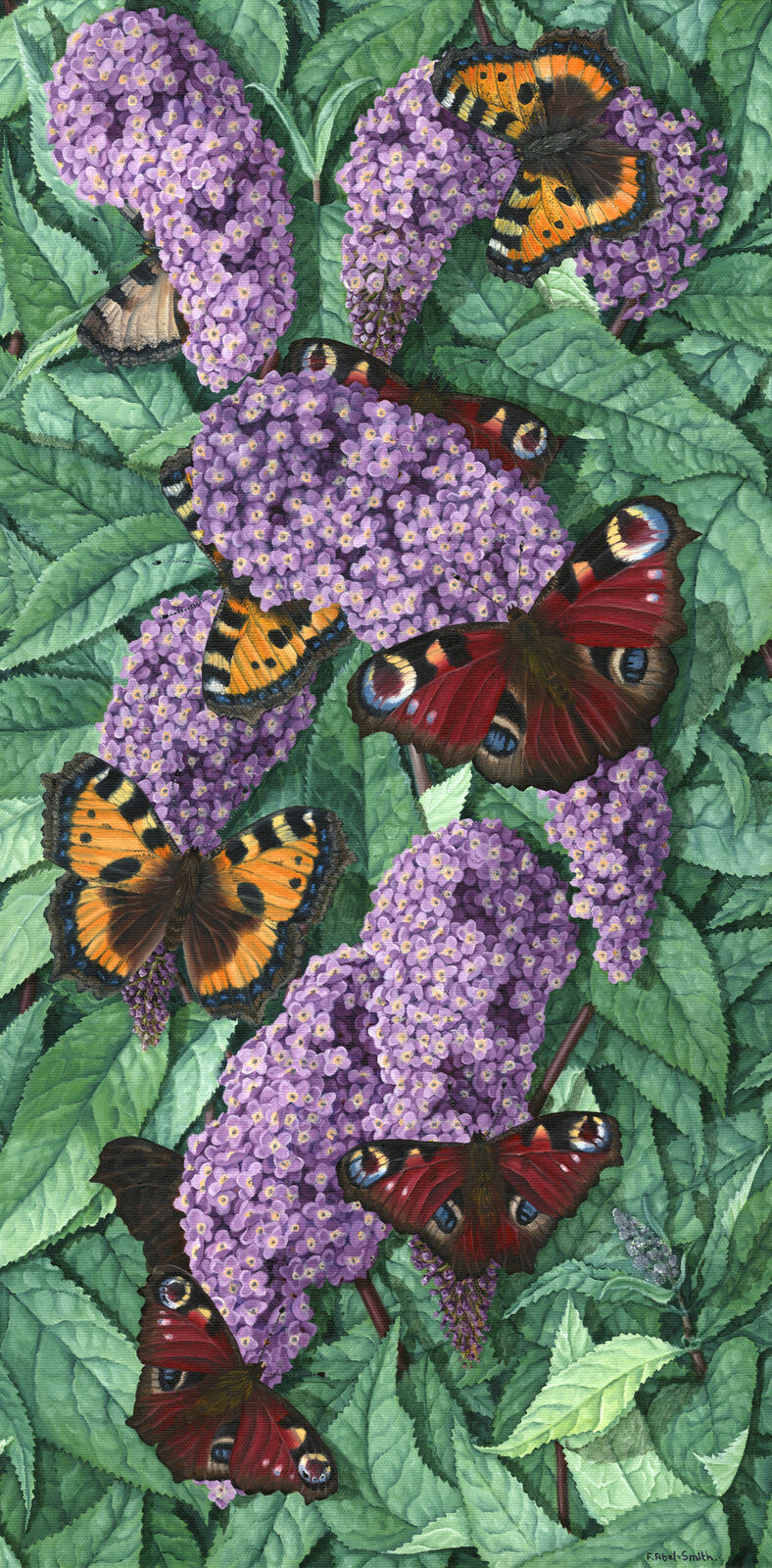 The Butterflyed Bush