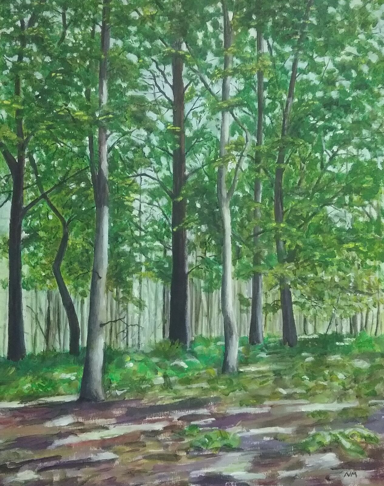 Sunlit woodland