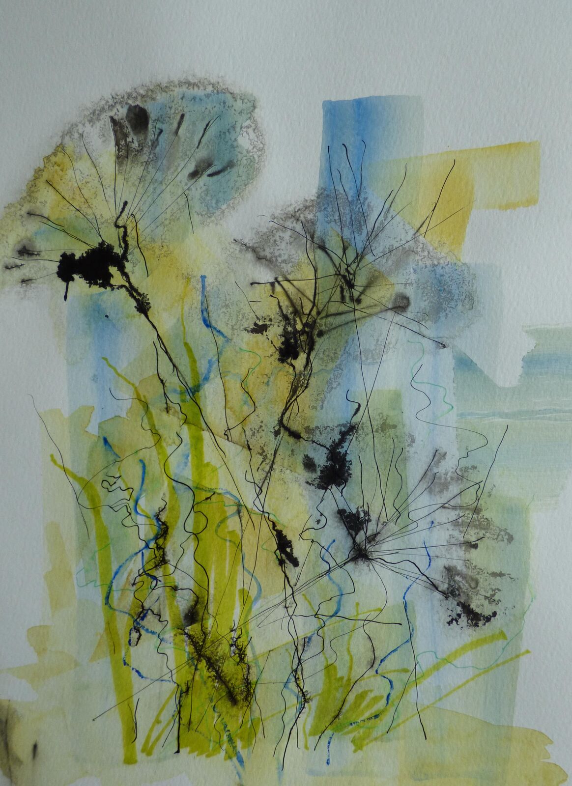 Seed heads