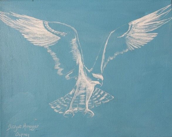 Osprey