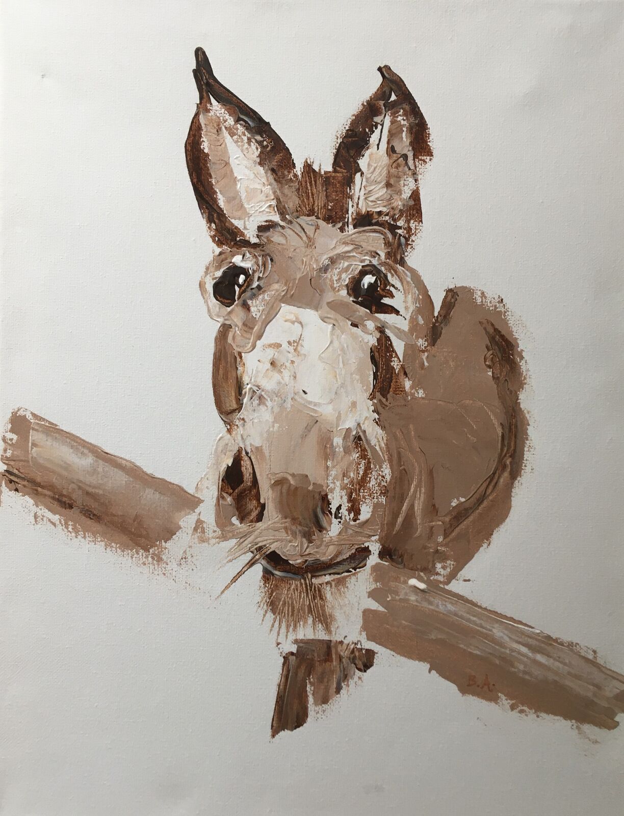 Donkey