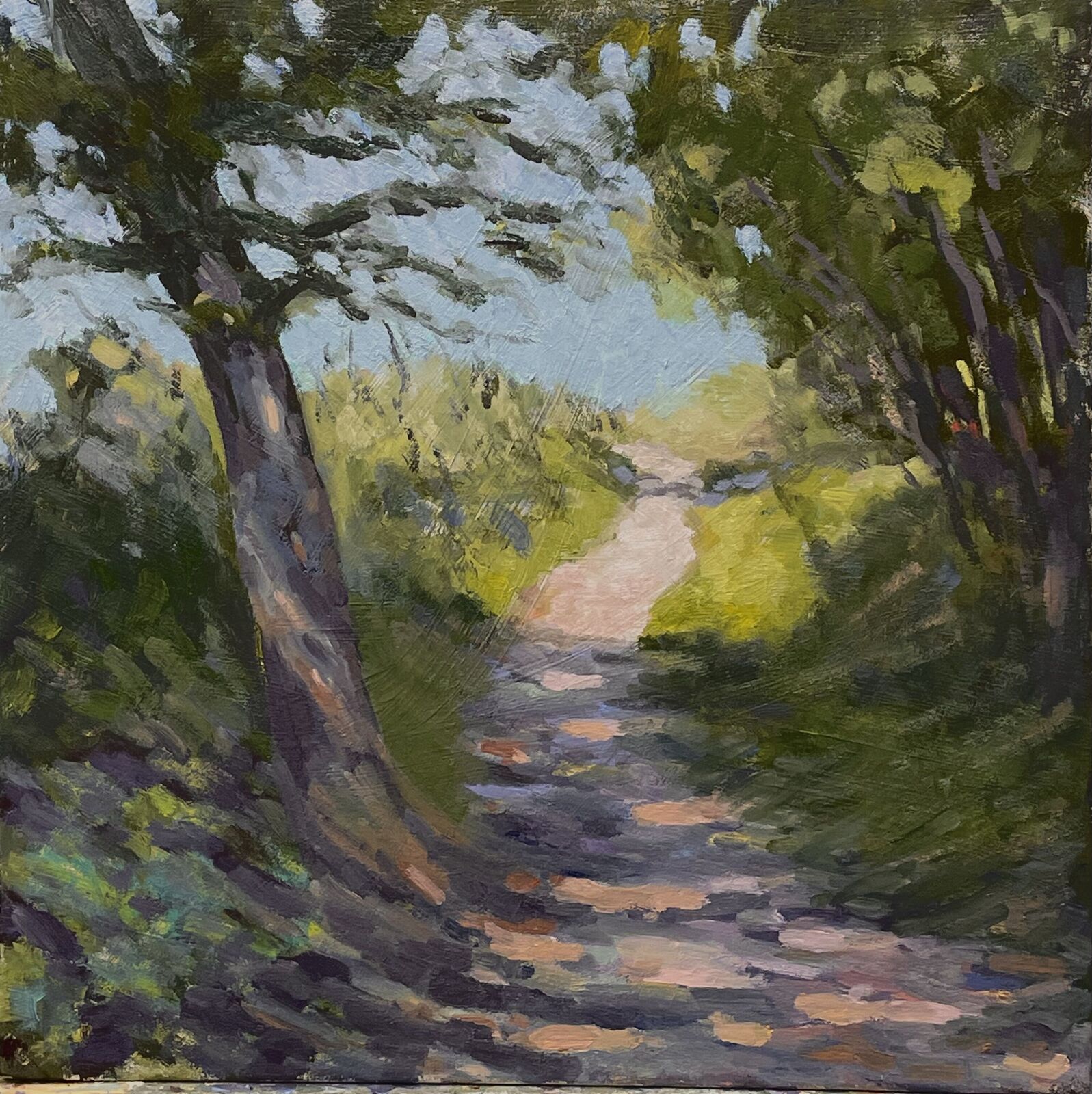 Dappled light at Fawsley