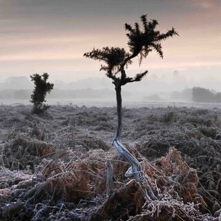 Landscape Photographs