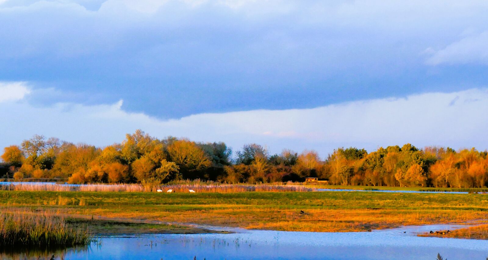 Autumn at Summerleys
