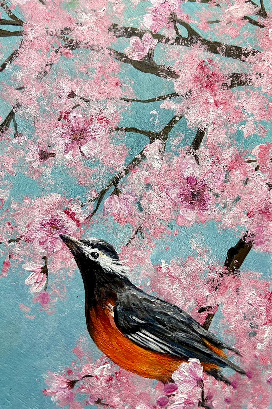 White-eared Sibia in blossom -l