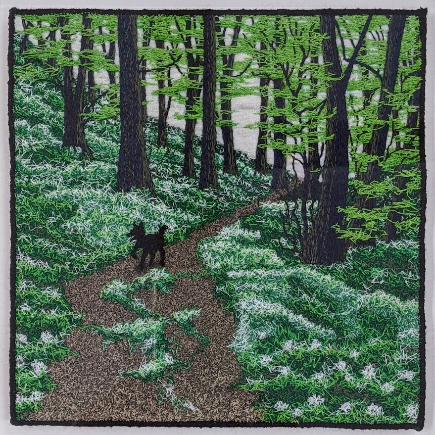 Walking in the Woods with Alfie