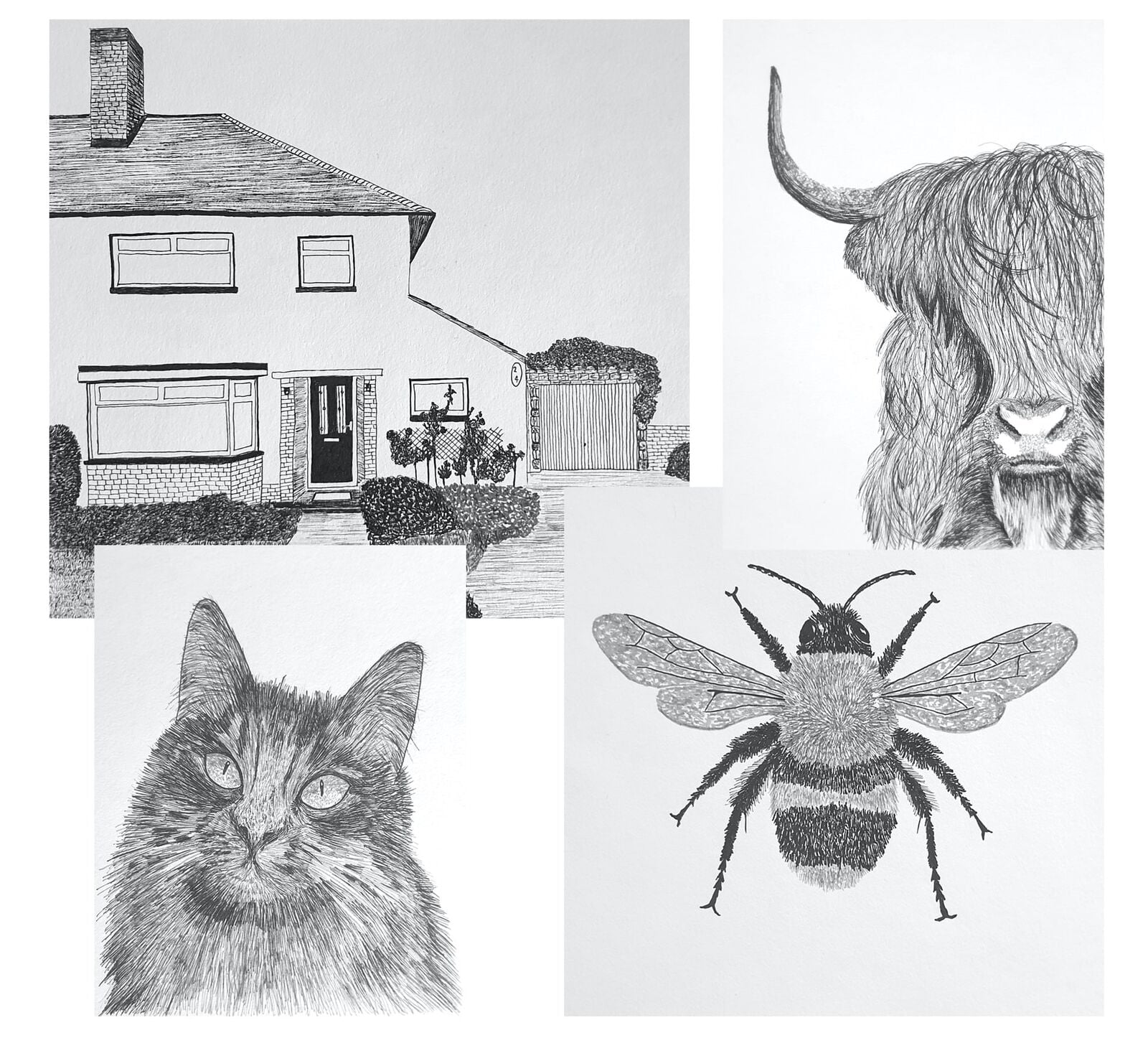 Selection of Drawings