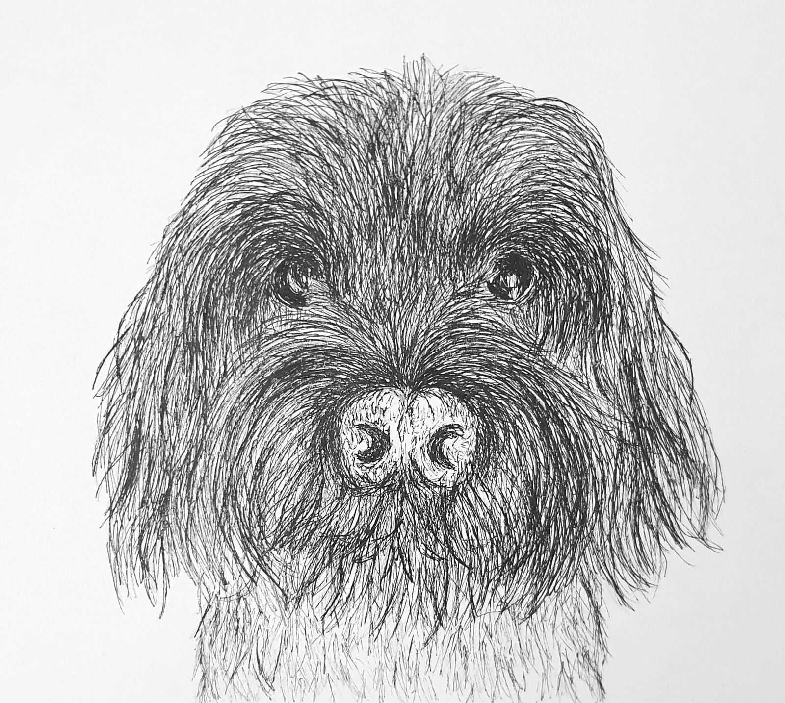 Dog Portrait