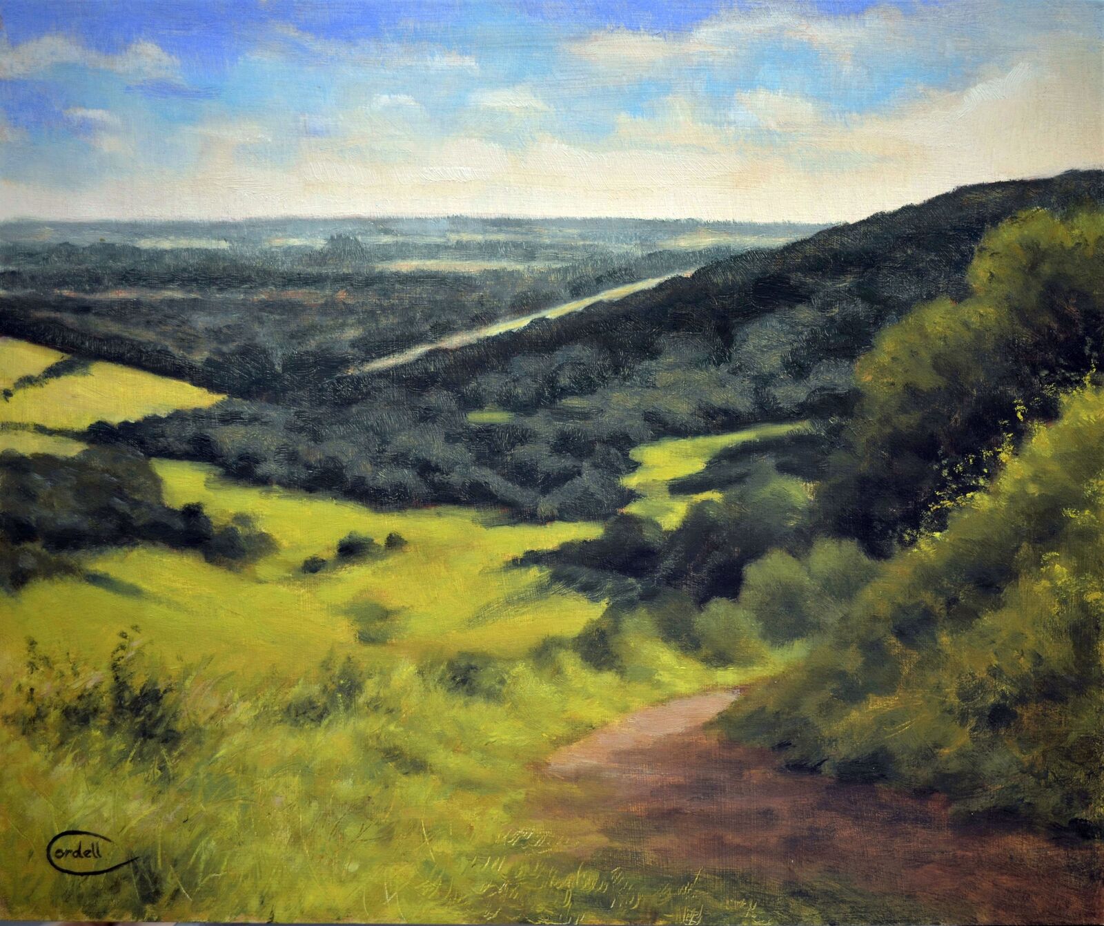 Towards Chichester from Kingley Vale