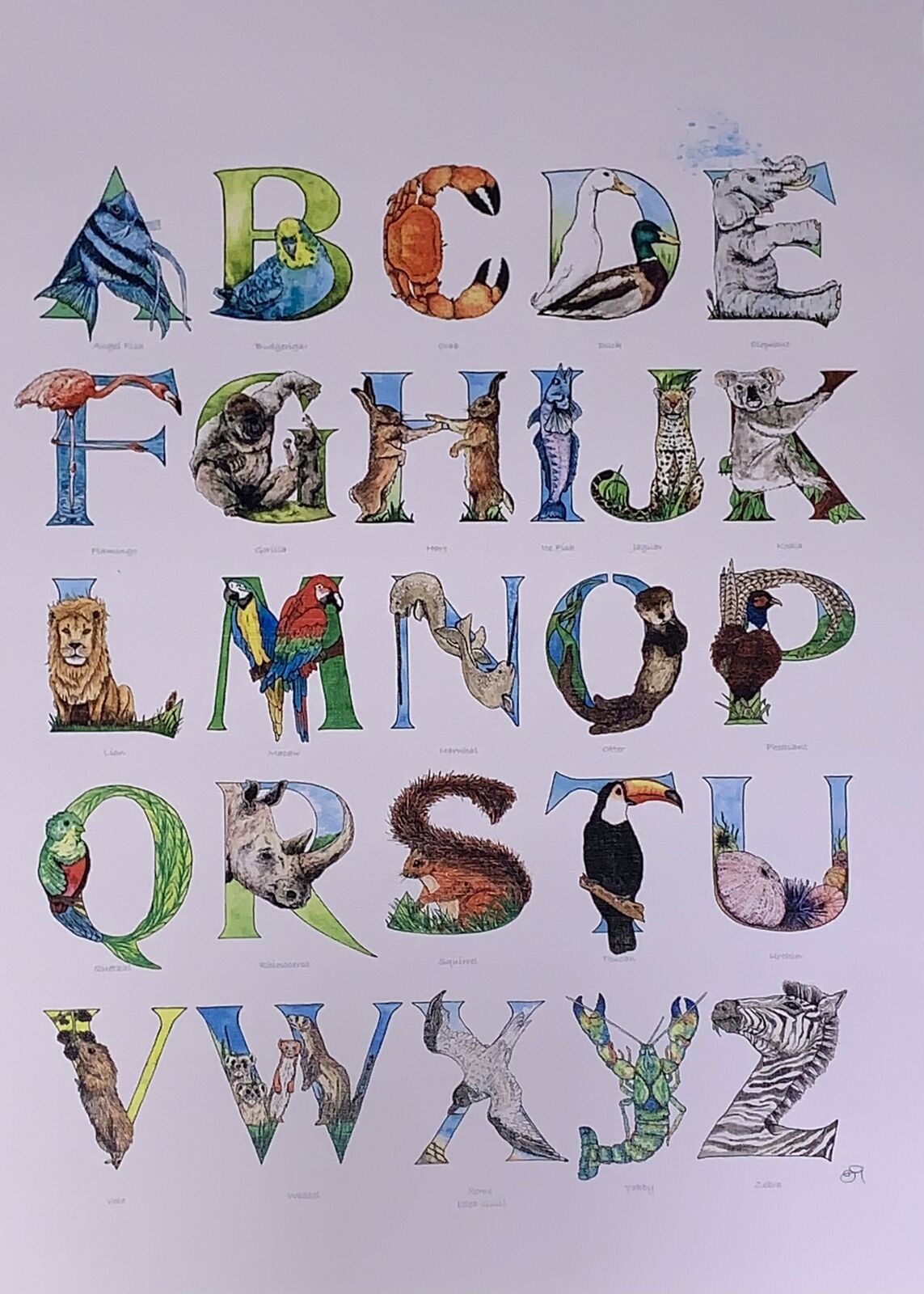 Animal Alphabet