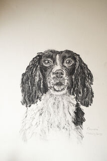 Dogs in Charcoal by Melody Todd