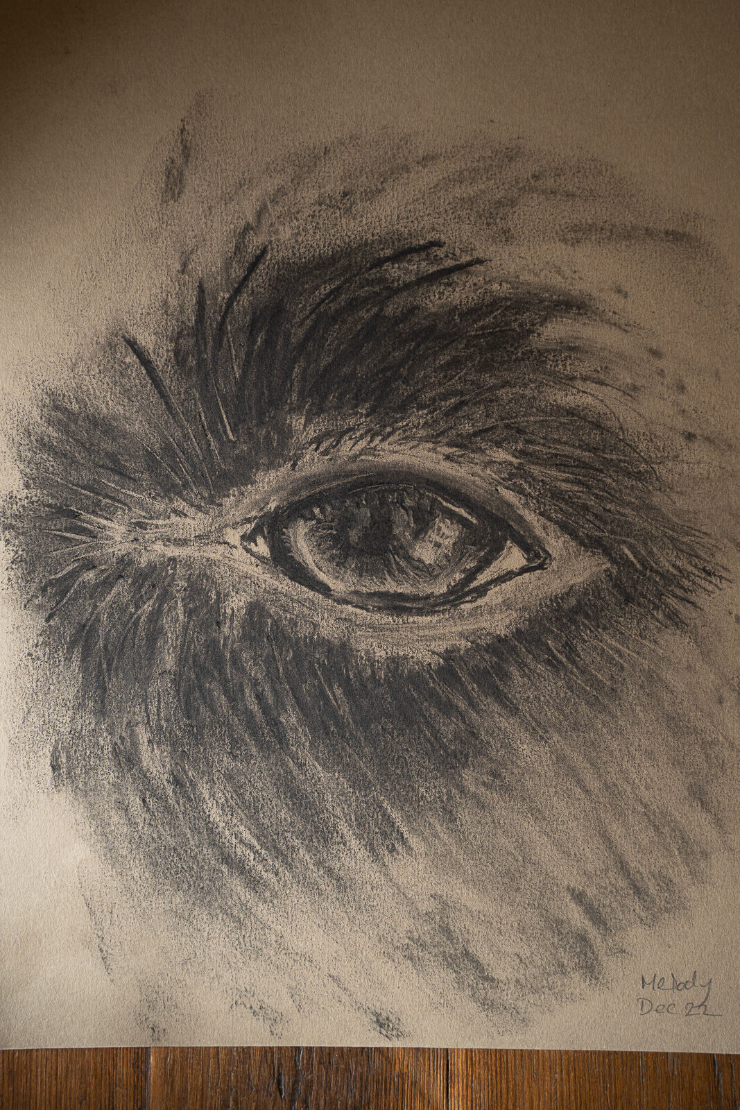 Dog's Eye - Charcoal - Melody Todd