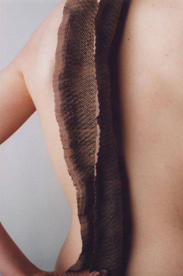 Vertebral column