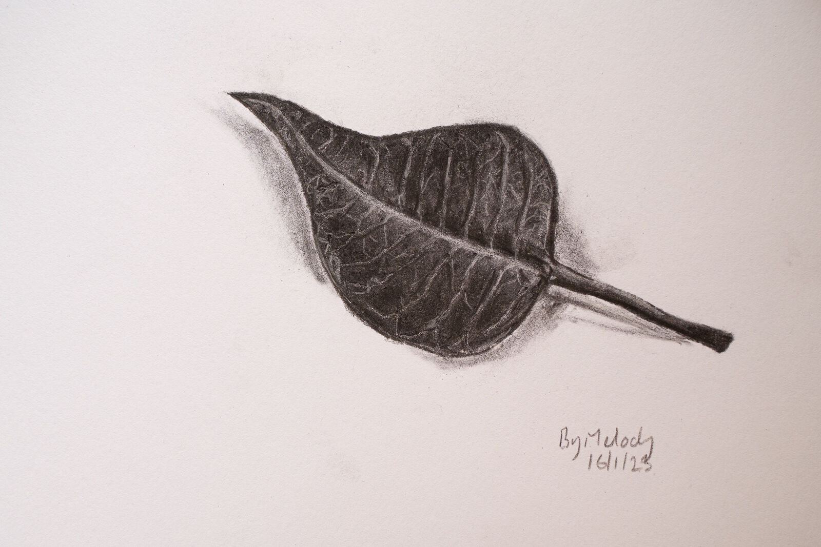 Leaf detail - Charcoal - Melody Todd
