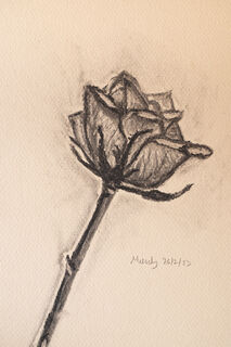 Nature in Charcoal by Melody Todd